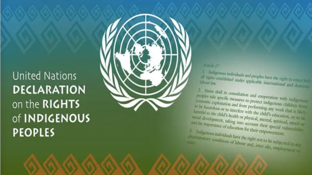 undrip